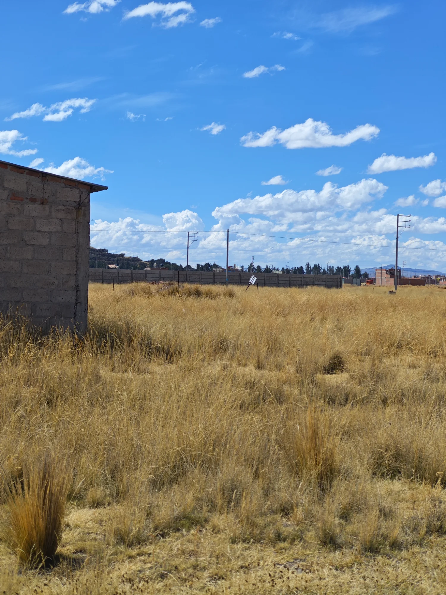2 TERRENOS DE 250 M² — Foto 10