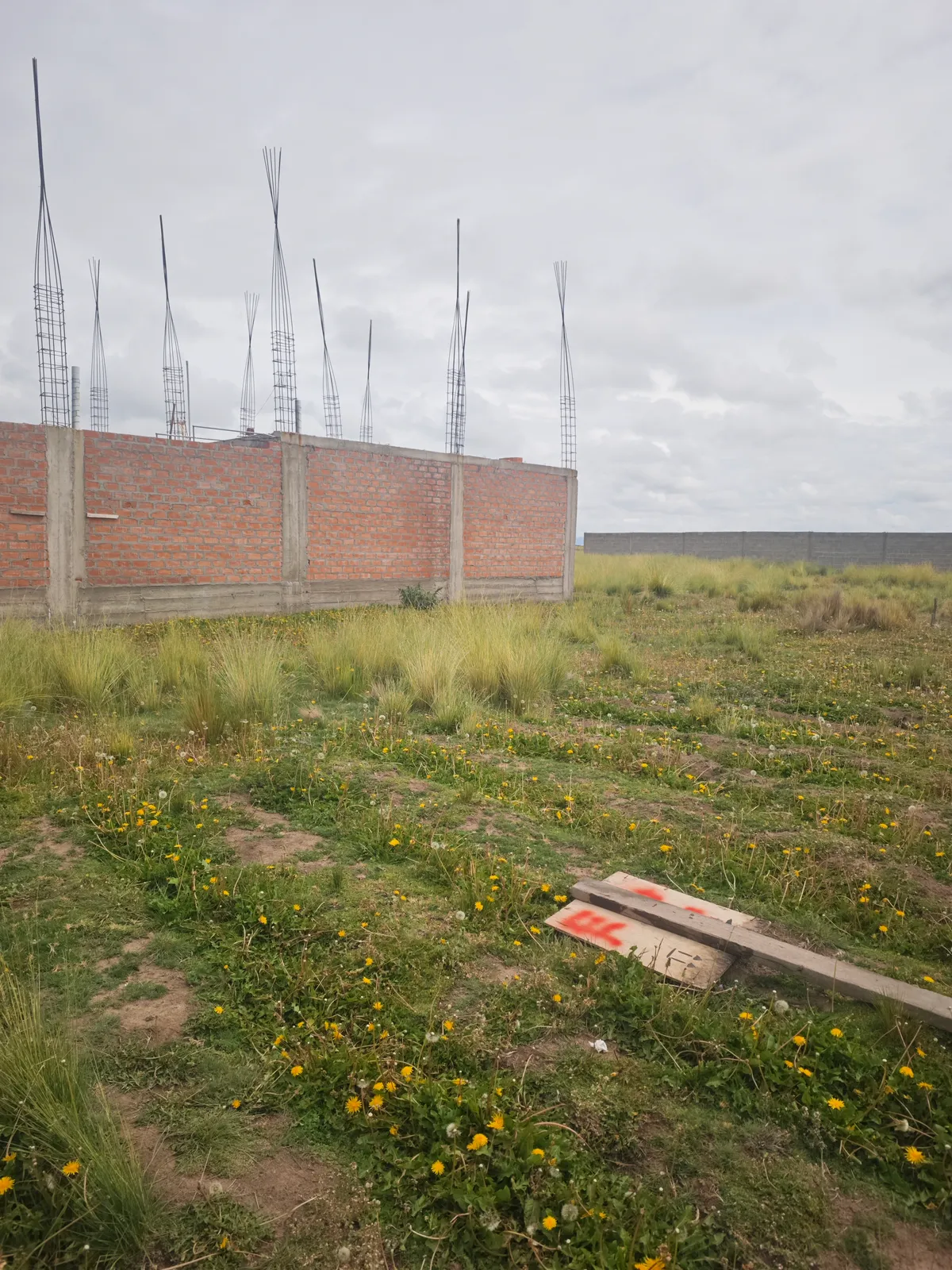 Imagen de Terreno en Av. Emperador 