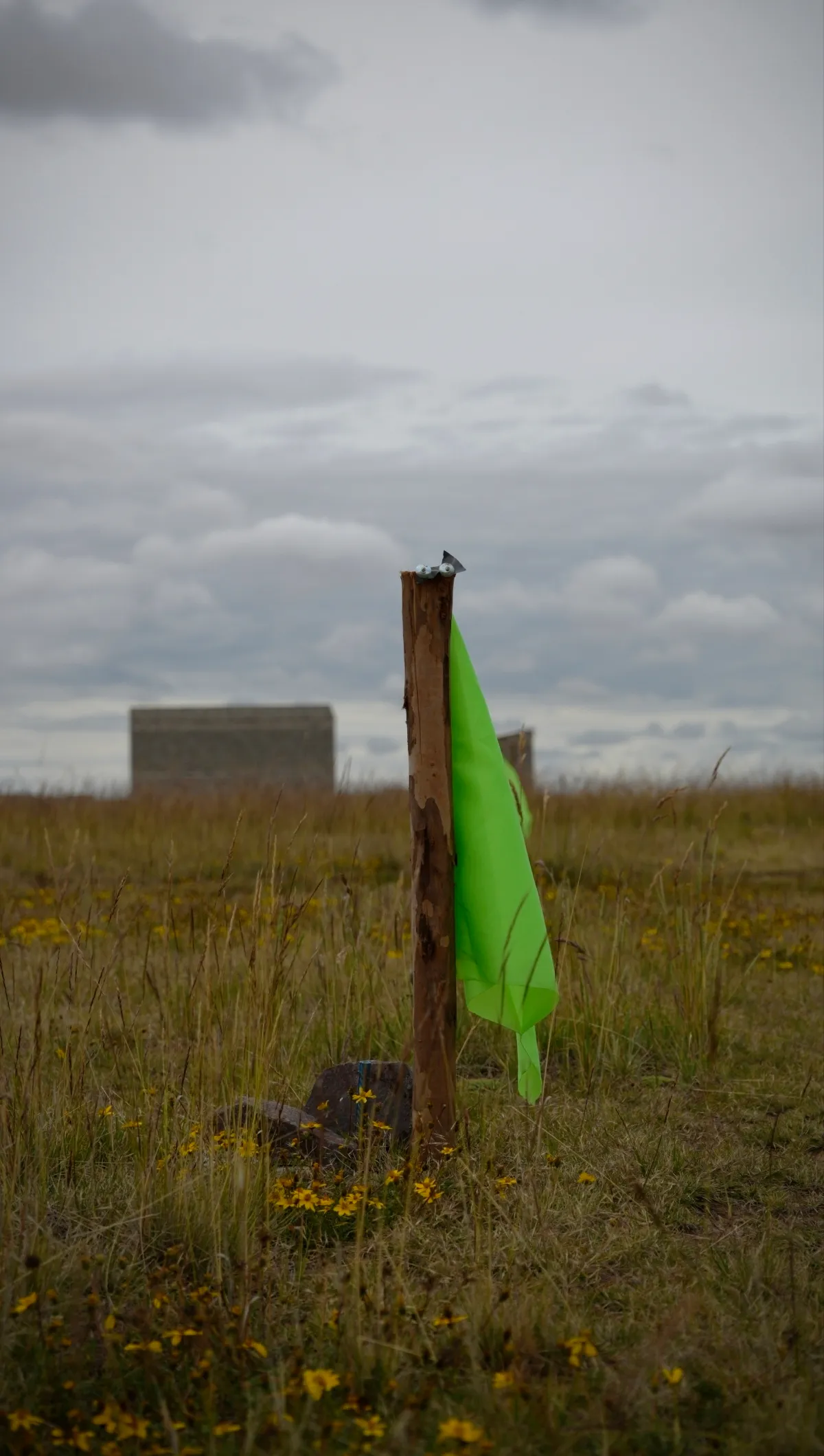 Imagen de NUEVOS LOTES DE 160 M²