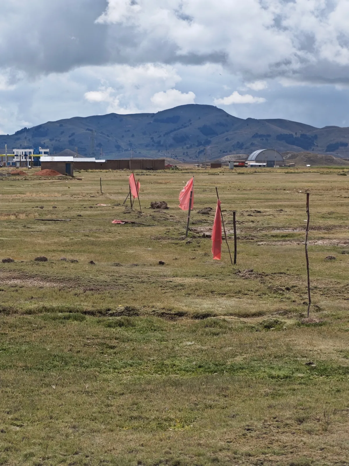 Imagen de Últimos 8 lotes